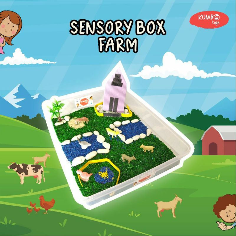 Farm Sensory Box | Mainan Montessori Sensory Play