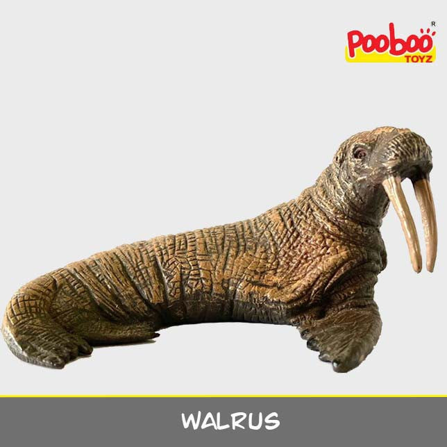 Mainan Hewan Liar | Wild Animal Series Pooboo