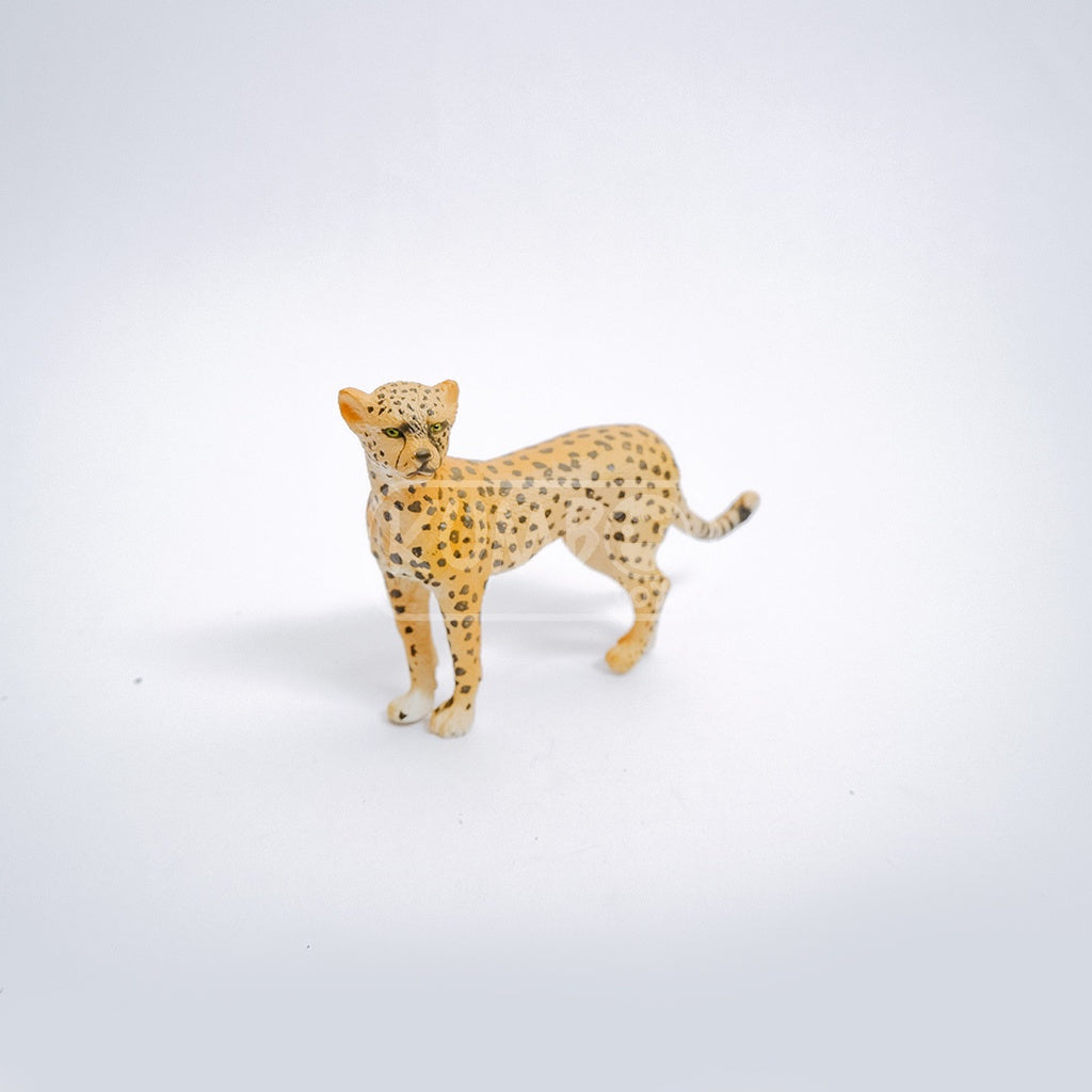 Mainan Hewan Liar | Wild Animal Series Pooboo
