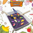 Sensory Tray Sensory Play Mainan Montessori Cocok Untuk Hampers Hadiah Kado
