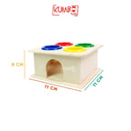 Mainan Montessori Hammer Case Mainan Pukul-pukulan