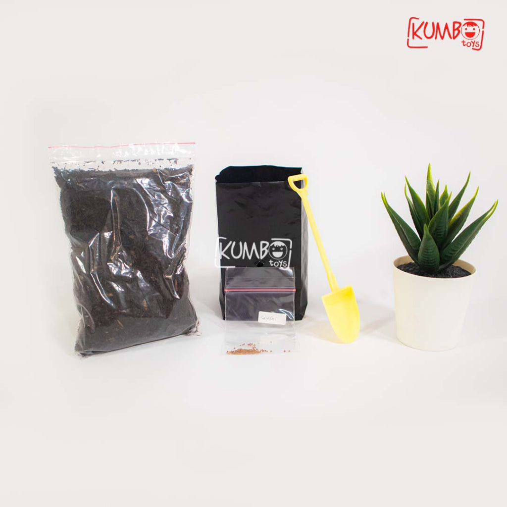 Mainan Edukasi Montessori DIY Berkebun Sayur Gardening Kit Menanam Sayur Buah