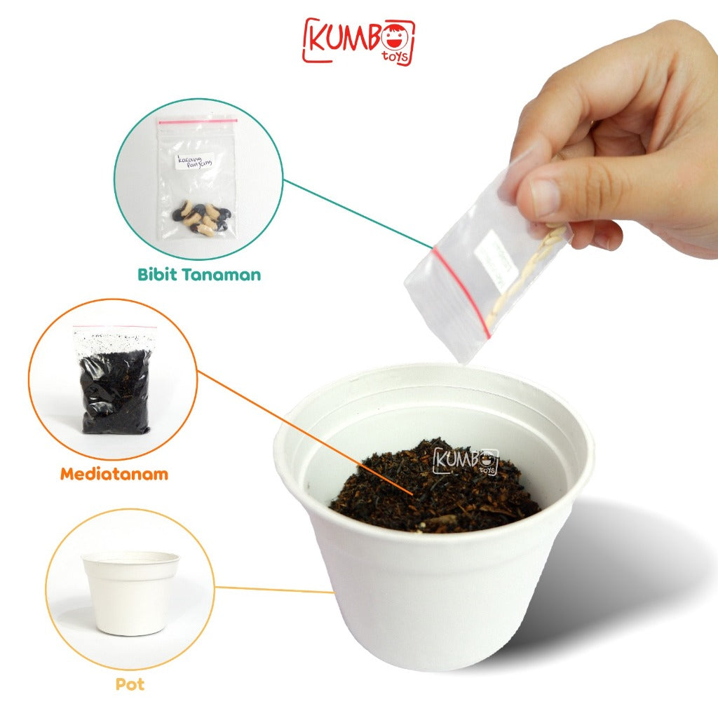 Mainan Edukasi Montessori DIY Berkebun Sayur Gardening Kit Menanam Sayur Buah
