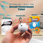 Mainan Edukasi Anak Dinosaurus Big Egg Grow Dino