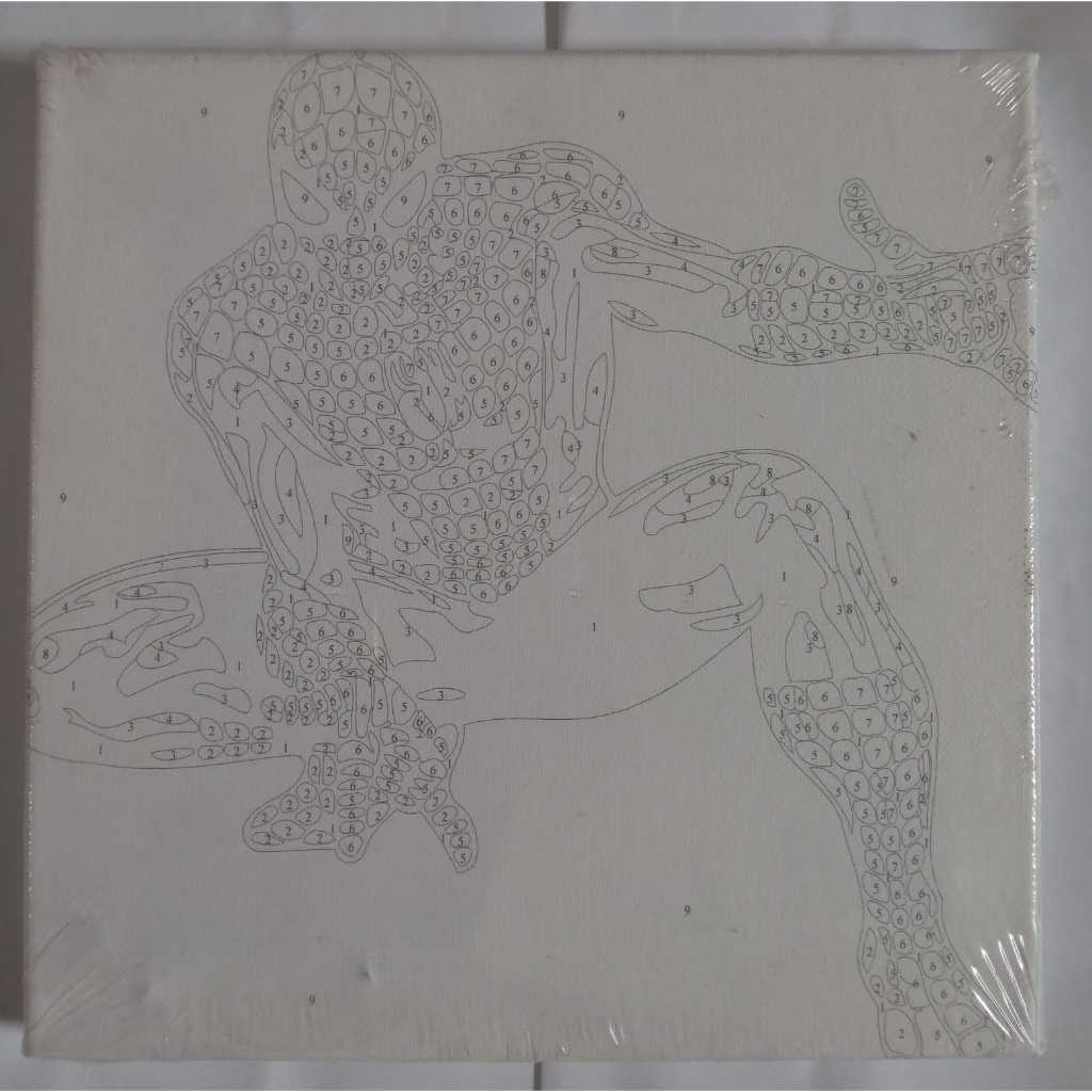 Canvas Painting Number Mainan Edukasi Melukis untuk Anak