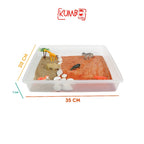 Sensory Box Tema Safari / Sensory Play Mainan Montessori