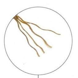 Tali Rami / Goni 3 PLY 4 PLY Panjang ± 5 Meter