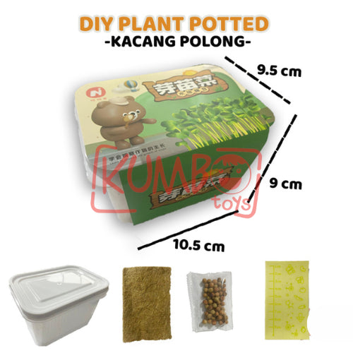 Mainan Edukasi DIY Plant Potted Edukasi Menanam Anak Tumbuhan Kecambah Bibit Tanaman