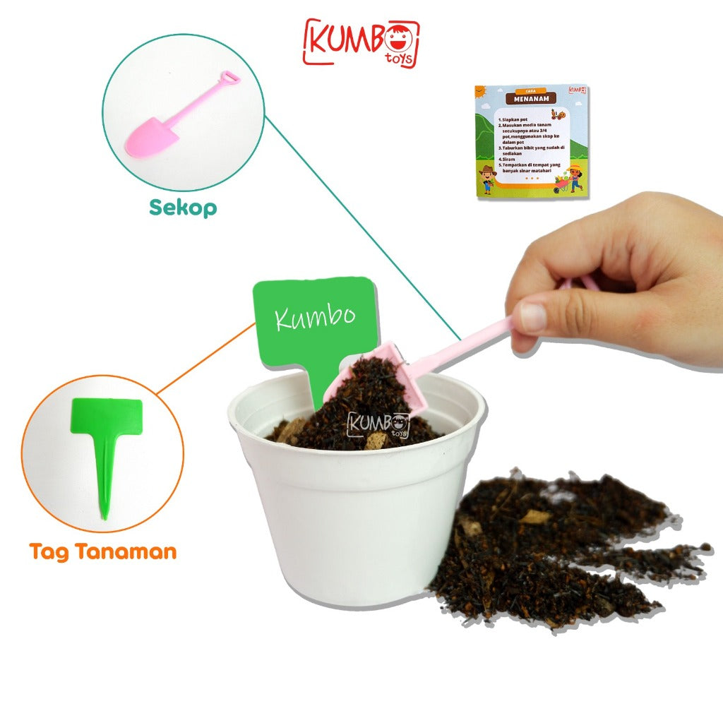 Mainan Edukasi Montessori DIY Berkebun Sayur Gardening Kit Menanam Sayur Buah