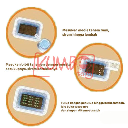 Mainan Edukasi DIY Plant Potted Edukasi Menanam Anak Tumbuhan Kecambah Bibit Tanaman