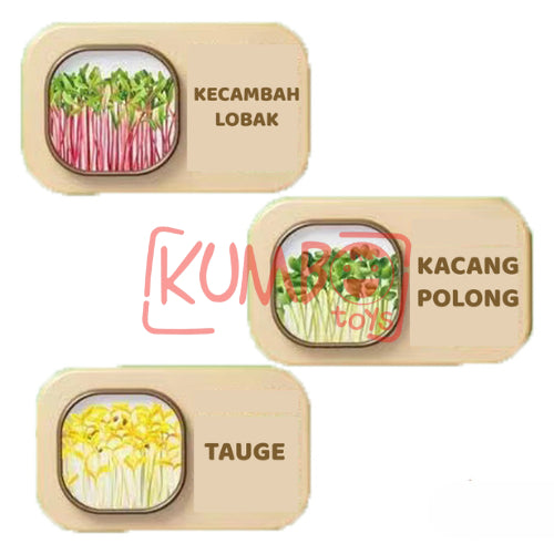 Mainan Edukasi DIY Plant Potted Edukasi Menanam Anak Tumbuhan Kecambah Bibit Tanaman