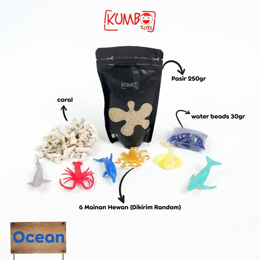 Ocean Sensory Box | Mainan Montessori Sensory Play