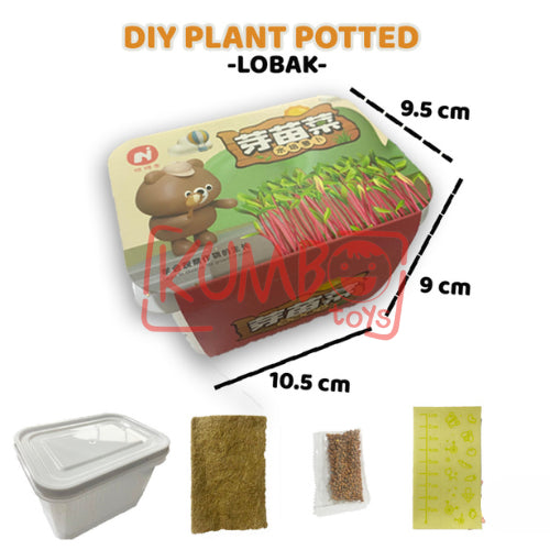 Mainan Edukasi DIY Plant Potted Edukasi Menanam Anak Tumbuhan Kecambah Bibit Tanaman