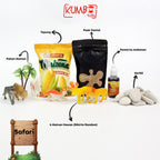 Sensory Box Tema Safari / Sensory Play Mainan Montessori