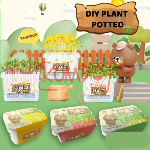 Mainan Edukasi DIY Plant Potted Edukasi Menanam Anak Tumbuhan Kecambah Bibit Tanaman
