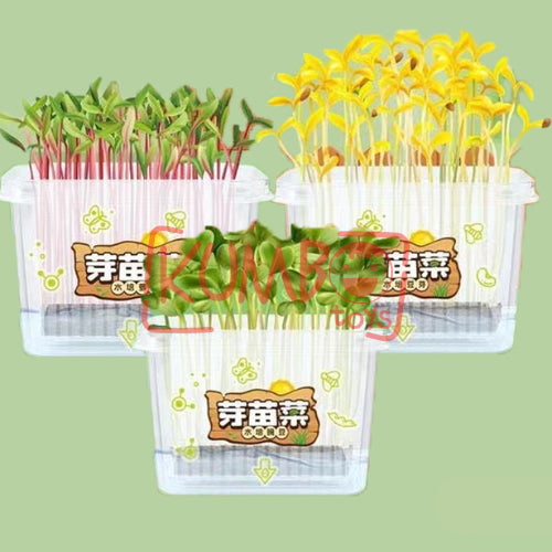 Mainan Edukasi DIY Plant Potted Edukasi Menanam Anak Tumbuhan Kecambah Bibit Tanaman