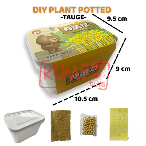 Mainan Edukasi DIY Plant Potted Edukasi Menanam Anak Tumbuhan Kecambah Bibit Tanaman
