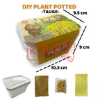 Mainan Edukasi DIY Plant Potted Edukasi Menanam Anak Tumbuhan Kecambah Bibit Tanaman