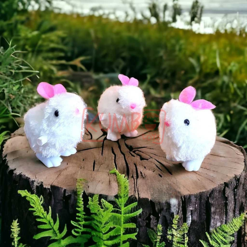 Mainan Edukasi Anak Kelinci Berjalan Putar