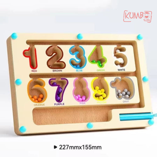 Mainan Edukasi Anak Sorting Color Classification Maze Magnet Papan Maze Klasifikasi Warna