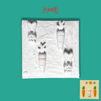Mainan Edukasi Anak DIY Melukis Patung Gypsum Canvas Art